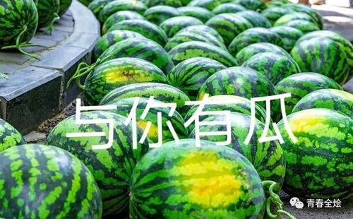 吃瓜列表,一场全民参与的娱乐盛宴