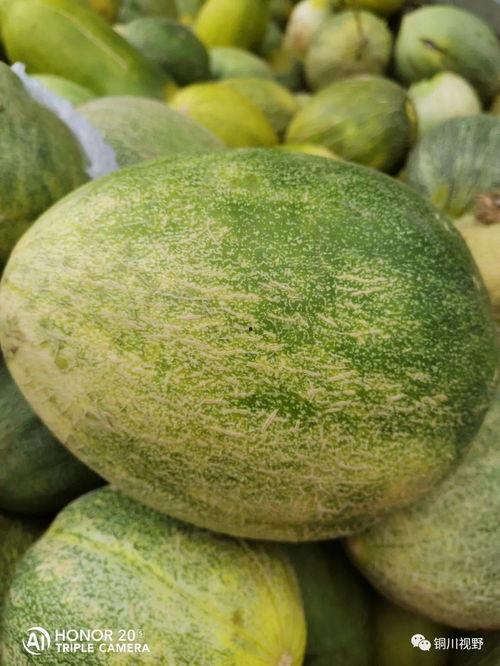 王家河吃瓜,一场夏日里的欢乐盛宴