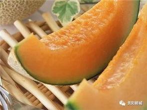 吃瓜复合,揭秘情感纠葛背后的真相