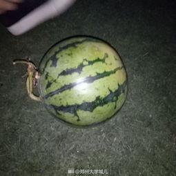 吃瓜复合,揭秘情感纠葛背后的真相