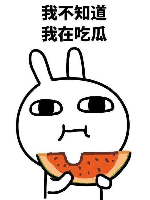 吃瓜没人分享,揭秘吃瓜无人分享的尴尬现象