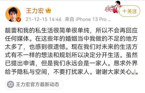 吃瓜专家歌词大全,揭秘娱乐圈幕后真相的歌词解析