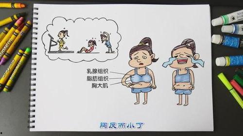 吃瓜少女讲知识,吃瓜少女带你轻松掌握知识世界