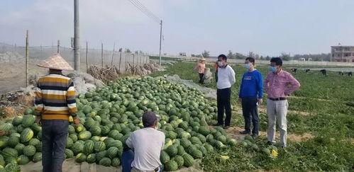 保定育才花园吃瓜小视频