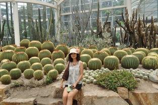 不朽巷吃瓜,揭秘网红美食背后的吃瓜故事