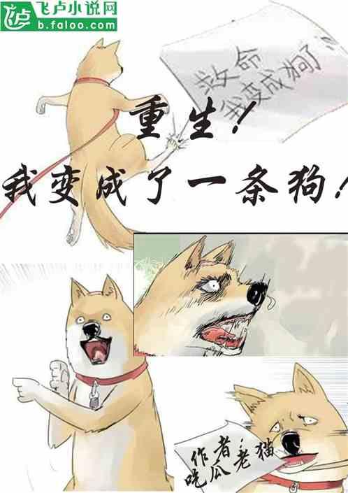 吃瓜在隔壁小说,一场吃瓜者的奇幻冒险